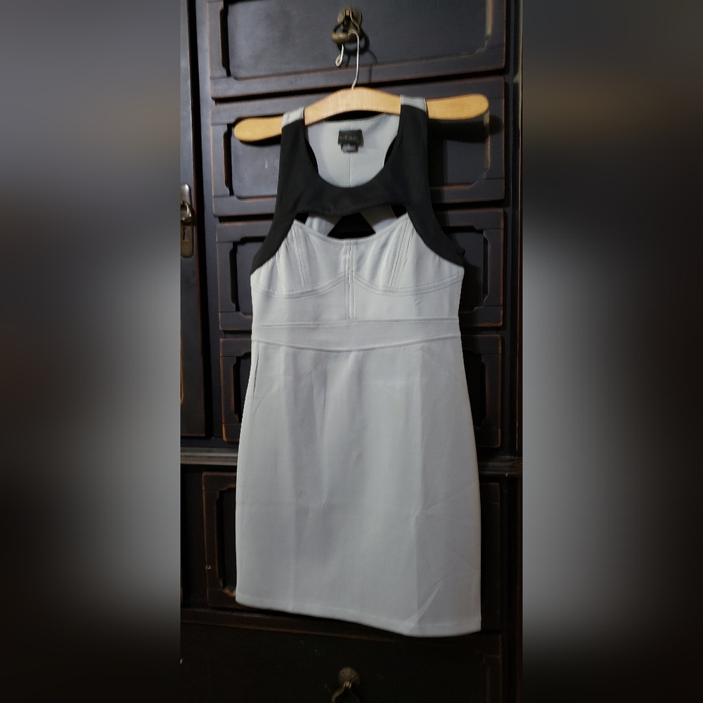 Two-Tone Sleeveless Sheath Dress in Black & Light Gray